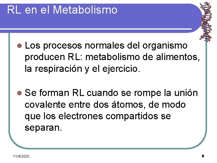 RL en el Metabolismo l Los procesos normales del organismo producen RL: metabolismo de