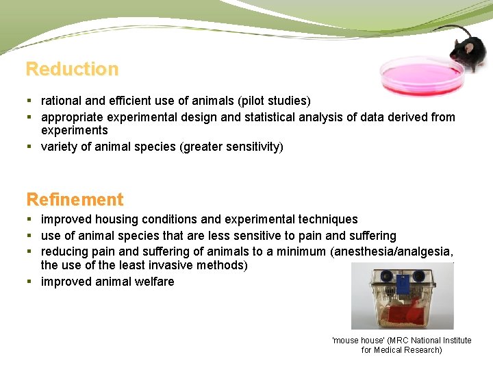 Reduction § rational and efficient use of animals (pilot studies) § appropriate experimental design