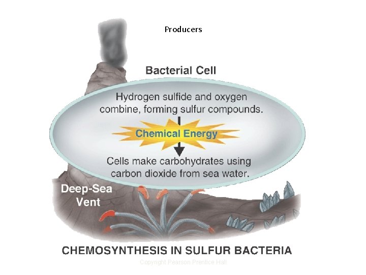 Producers Copyright Pearson Prentice Hall 