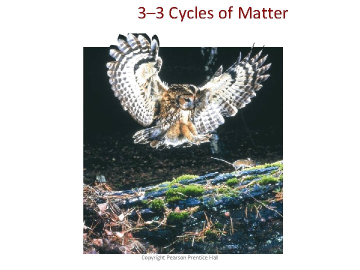 3– 3 Cycles of Matter Copyright Pearson Prentice Hall 