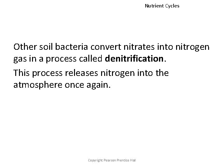 Nutrient Cycles Other soil bacteria convert nitrates into nitrogen gas in a process called