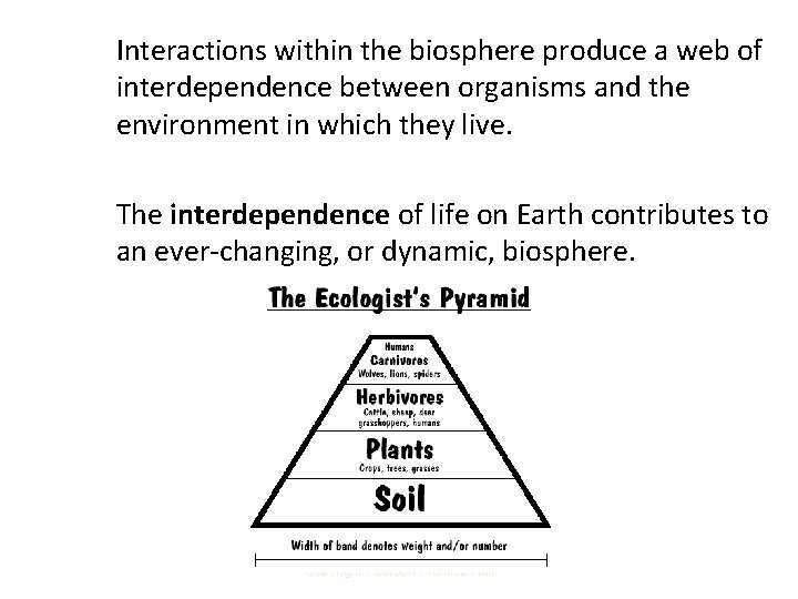 Interactions within the biosphere produce a web of interdependence between organisms and the environment Interactions within the biosphere produce a web of interdependence between organisms and the environment