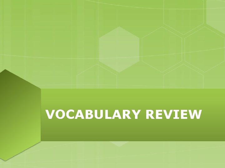 VOCABULARY REVIEW VOCABULARY REVIEW