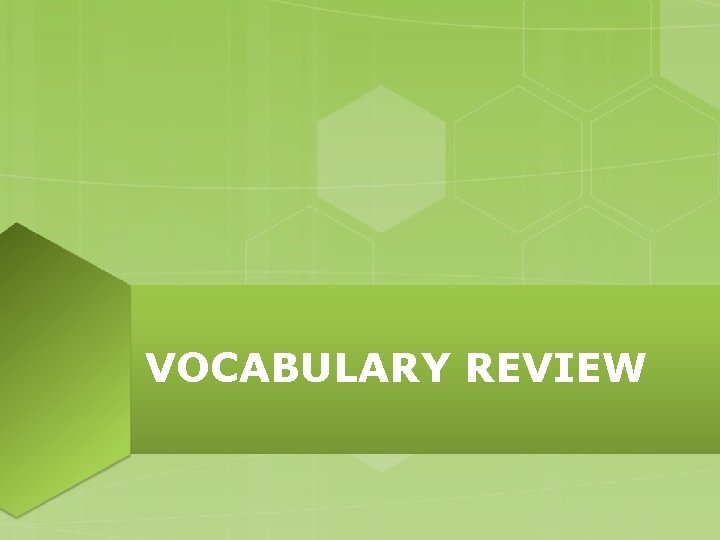 VOCABULARY REVIEW 