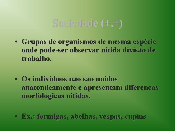 Sociedade (+, +) • Grupos de organismos de mesma espécie onde pode-ser observar nítida