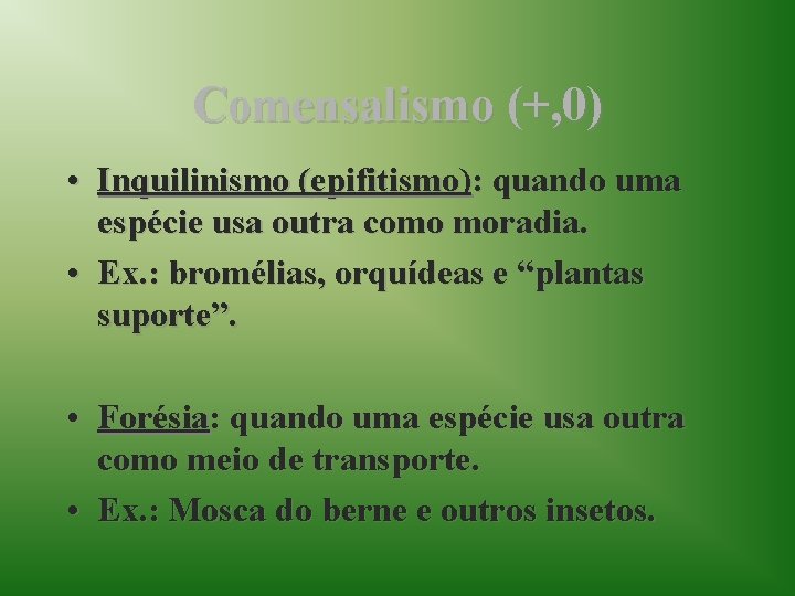 Comensalismo (+, 0) • Inquilinismo (epifitismo): quando uma espécie usa outra como moradia. •