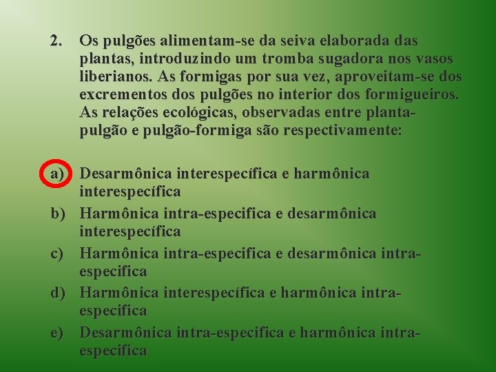 2. Os pulgões alimentam-se da seiva elaborada das plantas, introduzindo um tromba sugadora nos