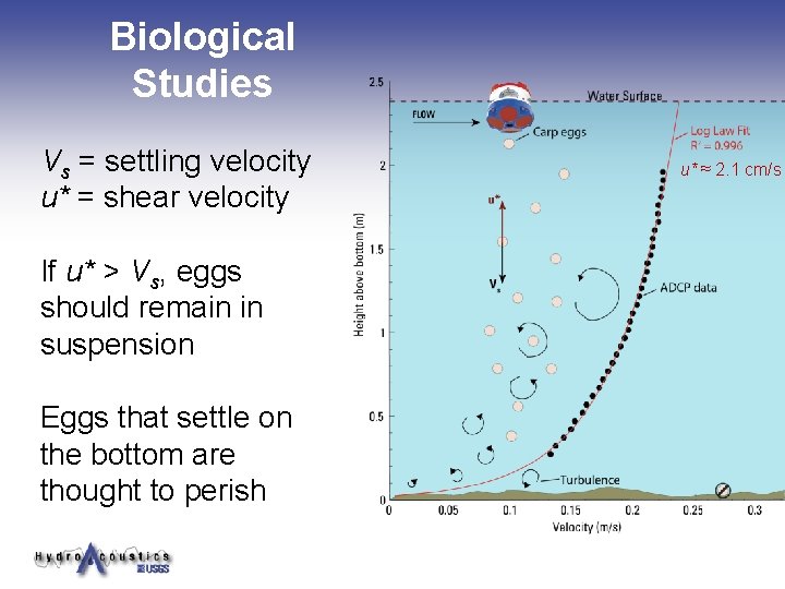 Biological Studies Vs = settling velocity u* = shear velocity If u* > Vs, Biological Studies Vs = settling velocity u* = shear velocity If u* > Vs,