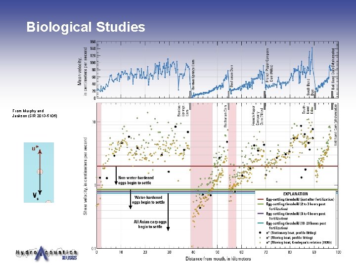 Biological Studies From Murphy and Jackson (SIR 2013 -5106) Biological Studies From Murphy and Jackson (SIR 2013 -5106)