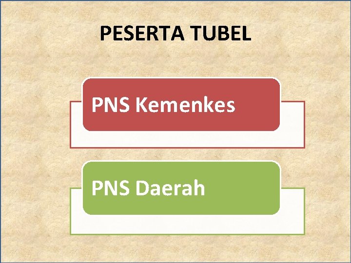 PESERTA TUBEL PNS Kemenkes PNS Daerah 