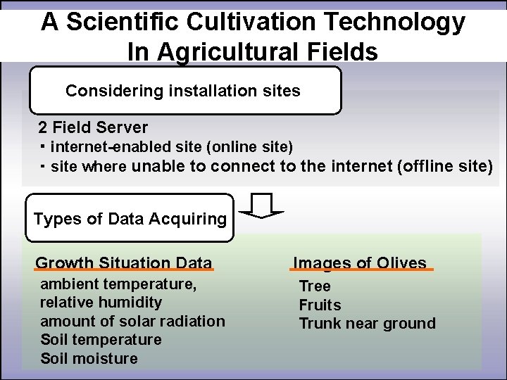 A Scientific Cultivation Technology In Agricultural Fields Considering installation sites 2 Field Server ・