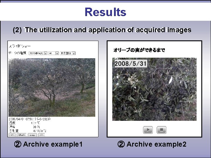 Results (2) The utilization and application of acquired images オリーブの実ができるまで ② Archive example 1