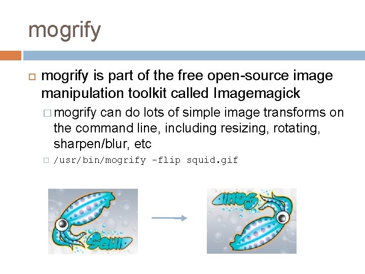 mogrify is part of the free open-source image manipulation toolkit called Imagemagick � mogrify
