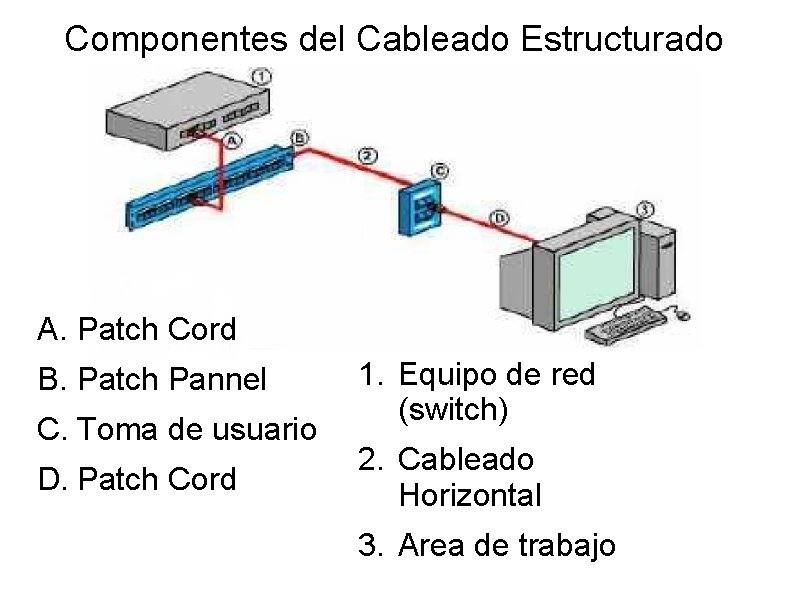 Componentes del Cableado Estructurado A. Patch Cord B. Patch Pannel C. Toma de usuario