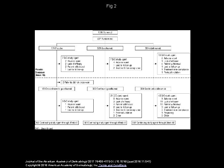 Fig 2 Journal of the American Academy of Dermatology 2017 76405 -417 DOI: (10.