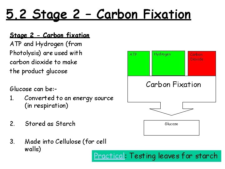 5. 2 Stage 2 – Carbon Fixation Stage 2 - Carbon fixation ATP and