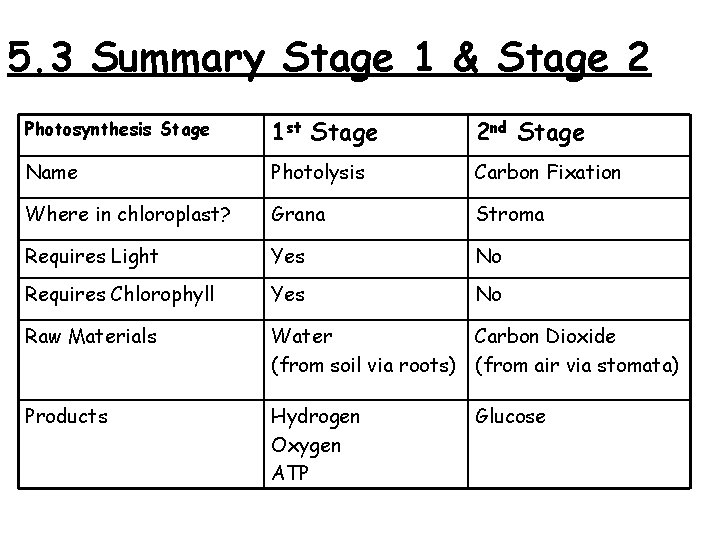 5. 3 Summary Stage 1 & Stage 2 Photosynthesis Stage 1 st Stage 2