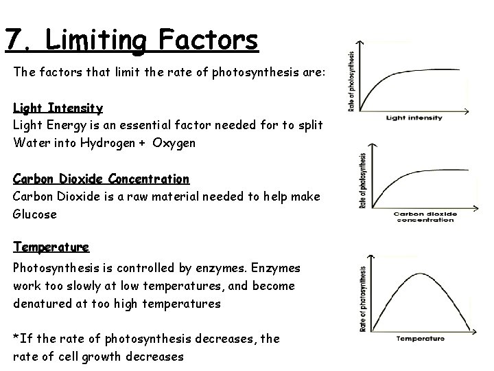 7. Limiting Factors The factors that limit the rate of photosynthesis are: Light Intensity
