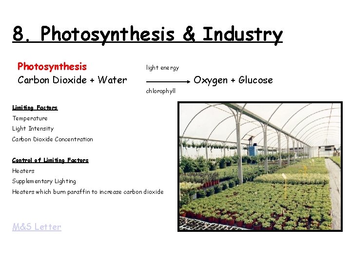 8. Photosynthesis & Industry Photosynthesis Carbon Dioxide + Water light energy Oxygen + Glucose