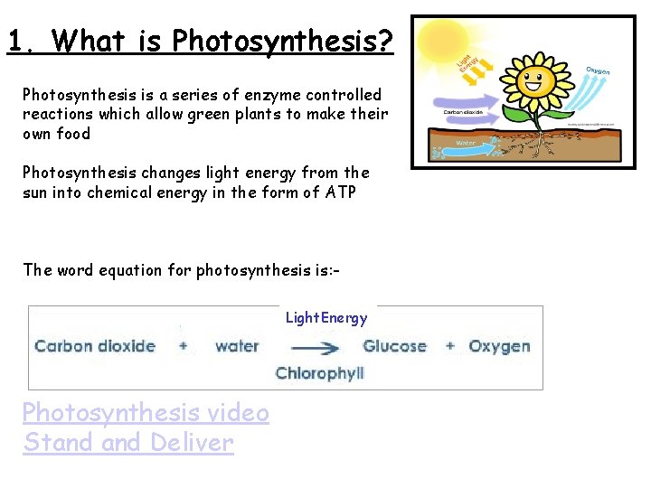 1. What is Photosynthesis? Photosynthesis is a series of enzyme controlled reactions which allow