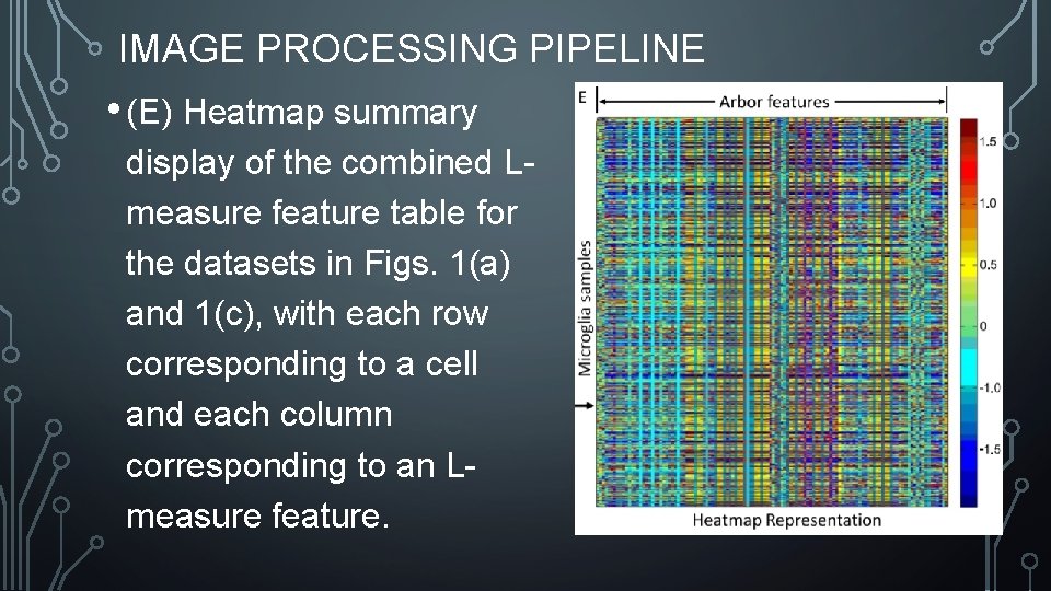 IMAGE PROCESSING PIPELINE • (E) Heatmap summary display of the combined Lmeasure feature table