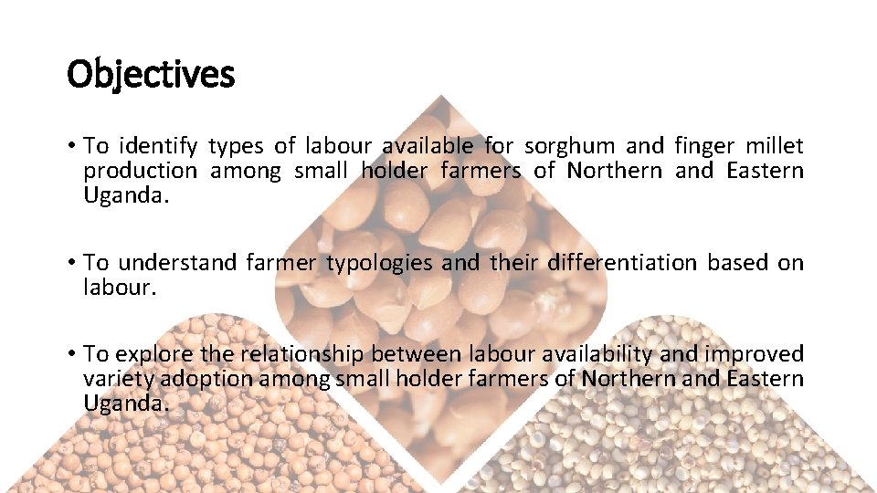 Objectives • To identify types of labour available for sorghum and finger millet production