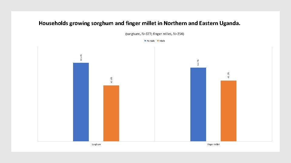 Households growing sorghum and finger millet in Northern and Eastern Uganda. (sorghum, N=377; finger