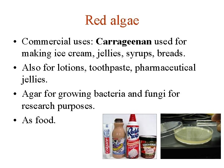 Red algae • Commercial uses: Carrageenan used for making ice cream, jellies, syrups, breads.