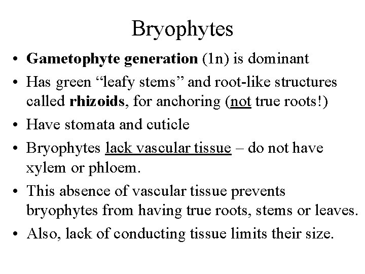 Bryophytes • Gametophyte generation (1 n) is dominant • Has green “leafy stems” and