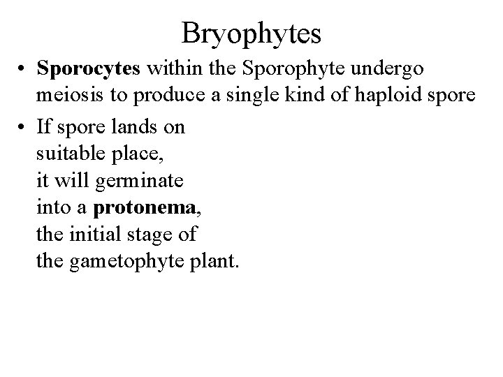 Bryophytes • Sporocytes within the Sporophyte undergo meiosis to produce a single kind of