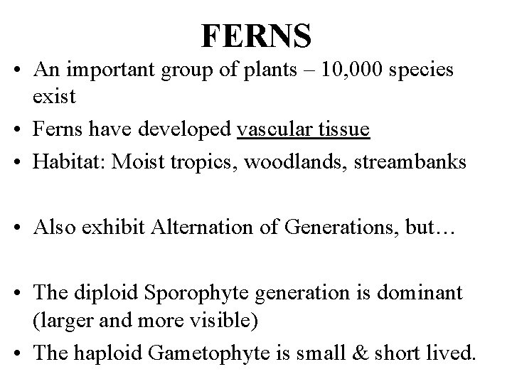 FERNS • An important group of plants – 10, 000 species exist • Ferns