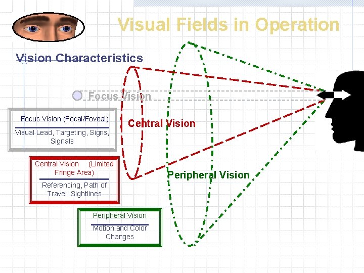 Visual Fields in Operation Vision Characteristics Focus Vision (Focal/Foveal) Visual Lead, Targeting, Signs, Signals