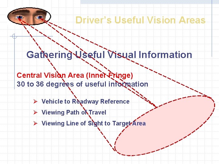 Driver’s Useful Vision Areas Gathering Useful Visual Information Central Vision Area (Inner Fringe) 30