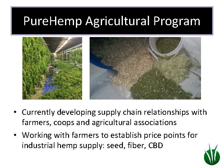 Pure. Hemp Agricultural Program • Currently developing supply chain relationships with farmers, coops and