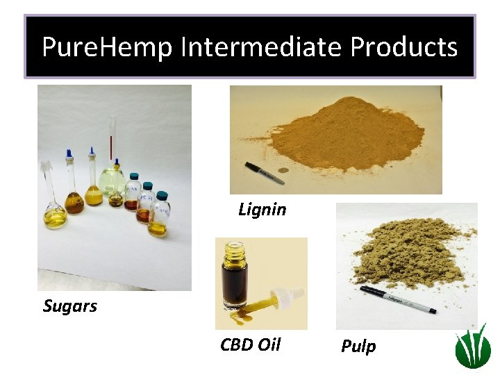 Pure. Hemp Intermediate Products Lignin Sugars CBD Oil Pulp 