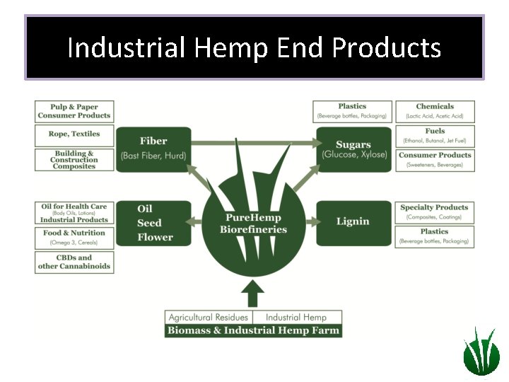 Industrial Hemp End Products 