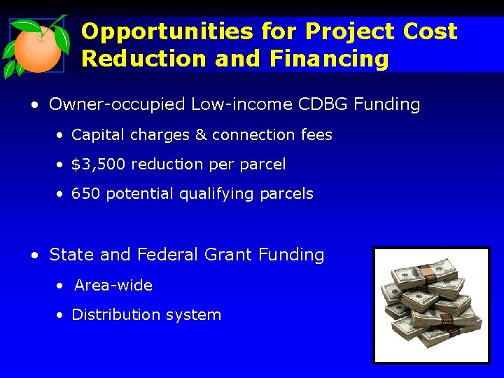 Opportunities for Project Cost Reduction and Financing • Owner-occupied Low-income CDBG Funding • Capital