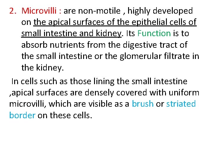 2. Microvilli : are non-motile , highly developed on the apical surfaces of the