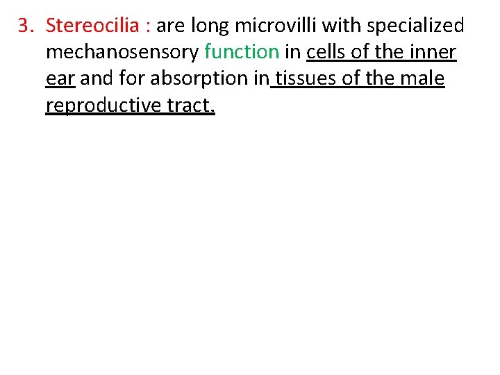 3. Stereocilia : are long microvilli with specialized mechanosensory function in cells of the