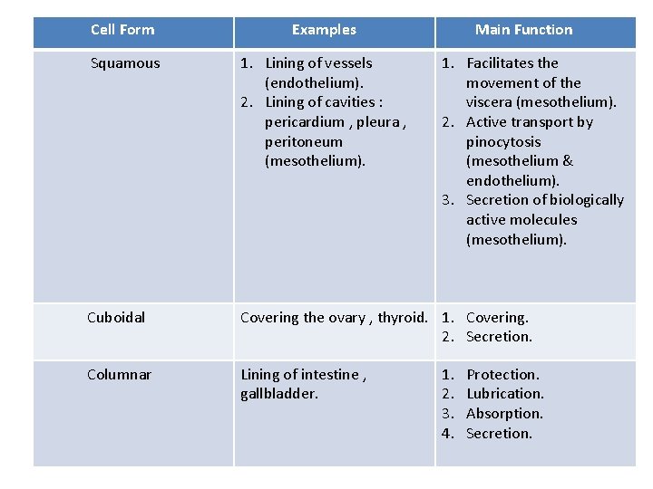 Cell Form Examples Main Function Squamous 1. Lining of vessels (endothelium). 2. Lining of