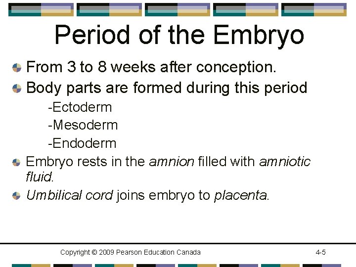 Period of the Embryo From 3 to 8 weeks after conception. Body parts are
