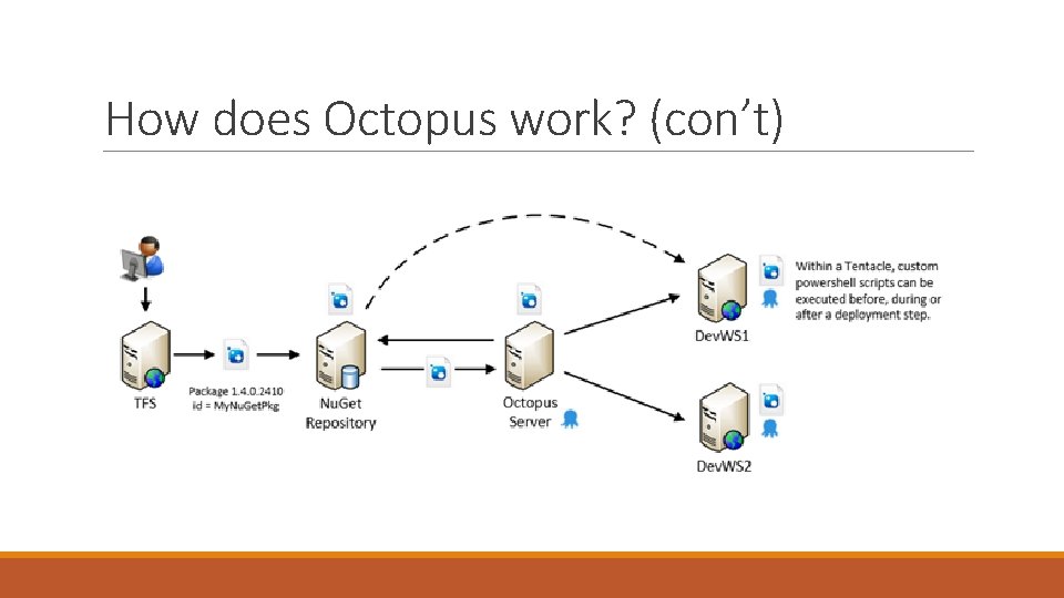 How does Octopus work? (con’t) 