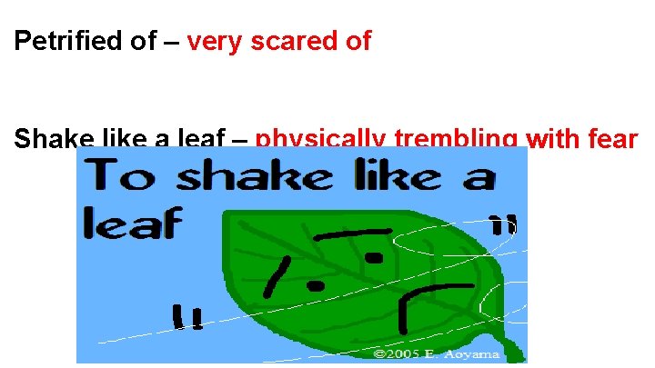 Petrified of – very scared of Shake like a leaf – physically trembling with