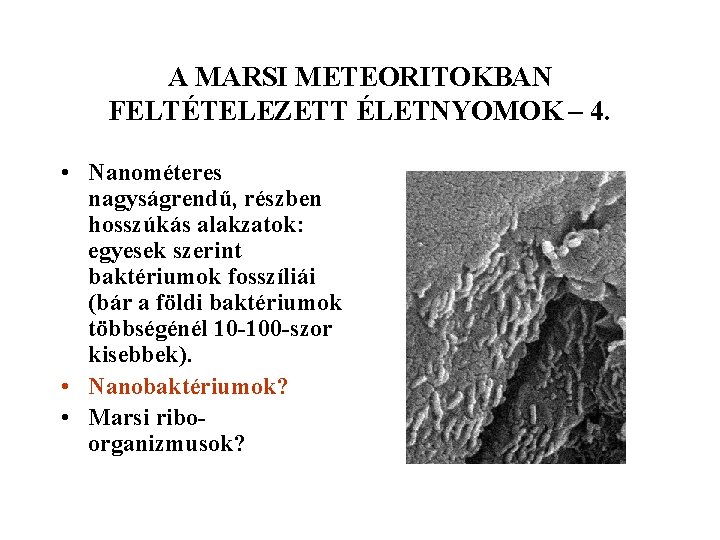 A MARSI METEORITOKBAN FELTÉTELEZETT ÉLETNYOMOK – 4. • Nanométeres nagyságrendű, részben hosszúkás alakzatok: egyesek