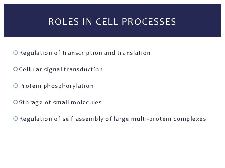 ROLES IN CELL PROCESSES Regulation of transcription and translation Cellular signal transduction Protein phosphorylation