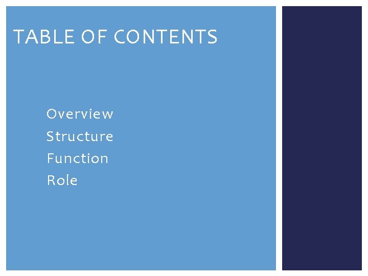 TABLE OF CONTENTS • • Overview Structure Function Role 