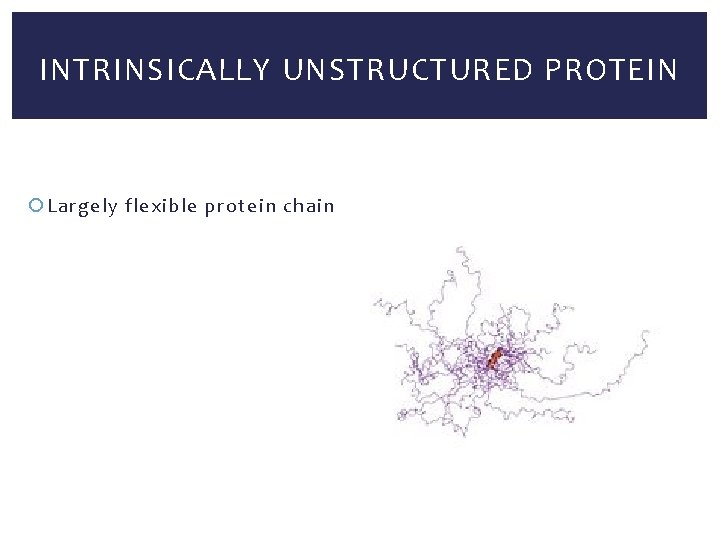 INTRINSICALLY UNSTRUCTURED PROTEIN Largely flexible protein chain 