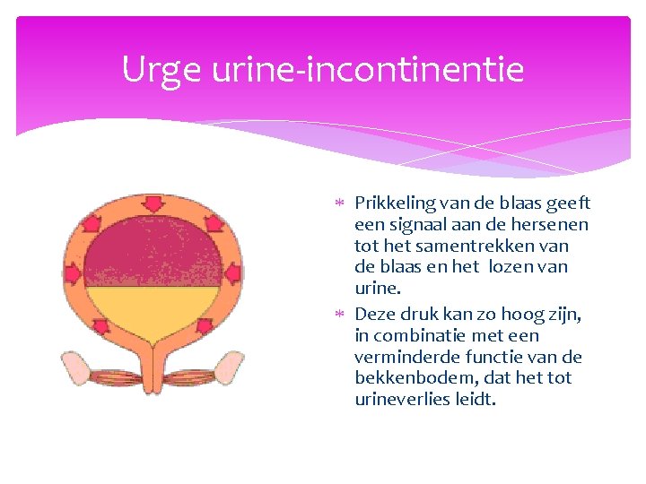 Urge urine-incontinentie Prikkeling van de blaas geeft een signaal aan de hersenen tot het