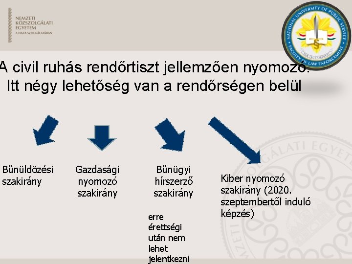 A civil ruhás rendőrtiszt jellemzően nyomozó. Itt négy lehetőség van a rendőrségen belül Bűnüldözési