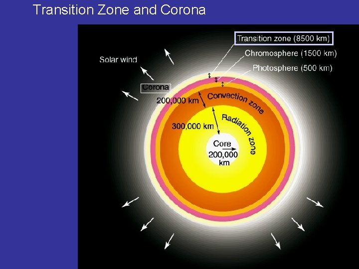 Transition Zone and Corona 